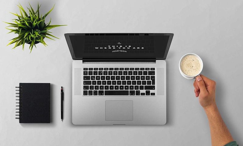 PLANTES AU BUREAU :  VERDURE  ET  FLEURS  POUR  ECARTER  LE STRESS  ET  POUR DONNER  LE GOÛT DE L’EXCELLENCE
