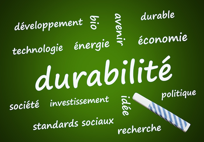 Durabilité : comment agir en tant que dirigeants ?