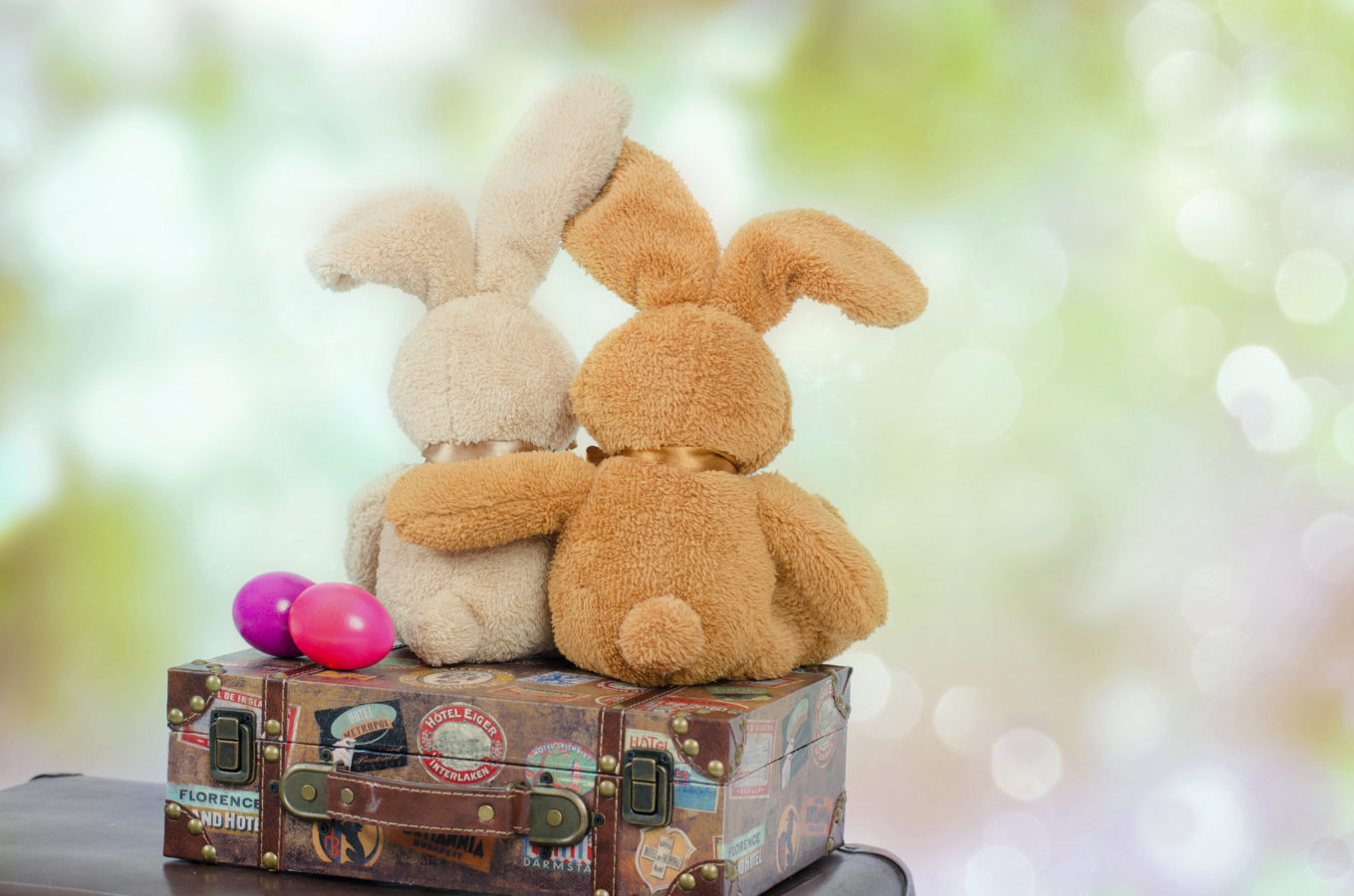 Mais où se cache le lapin de Pâques ?