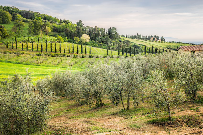 L’agritourisme à Castiglion Fiorentino