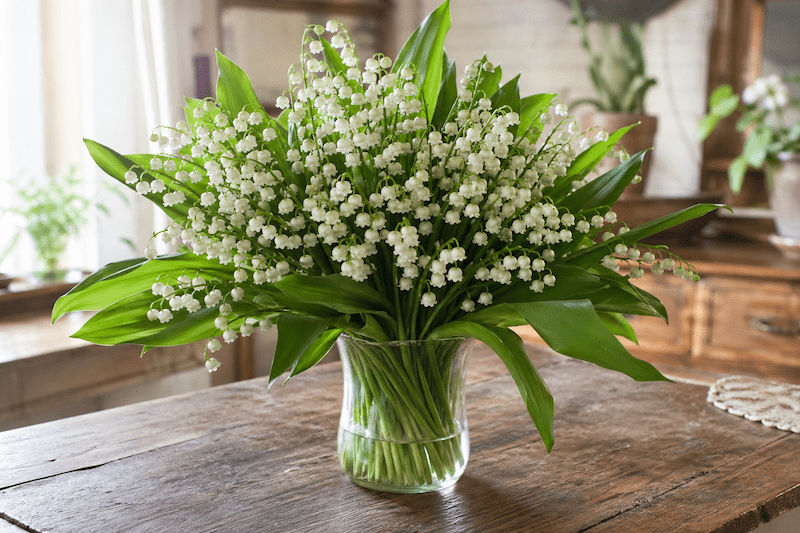 Le 1er mai en Suisse : quand le repos dépend moins de la loi que du passeport cantonal