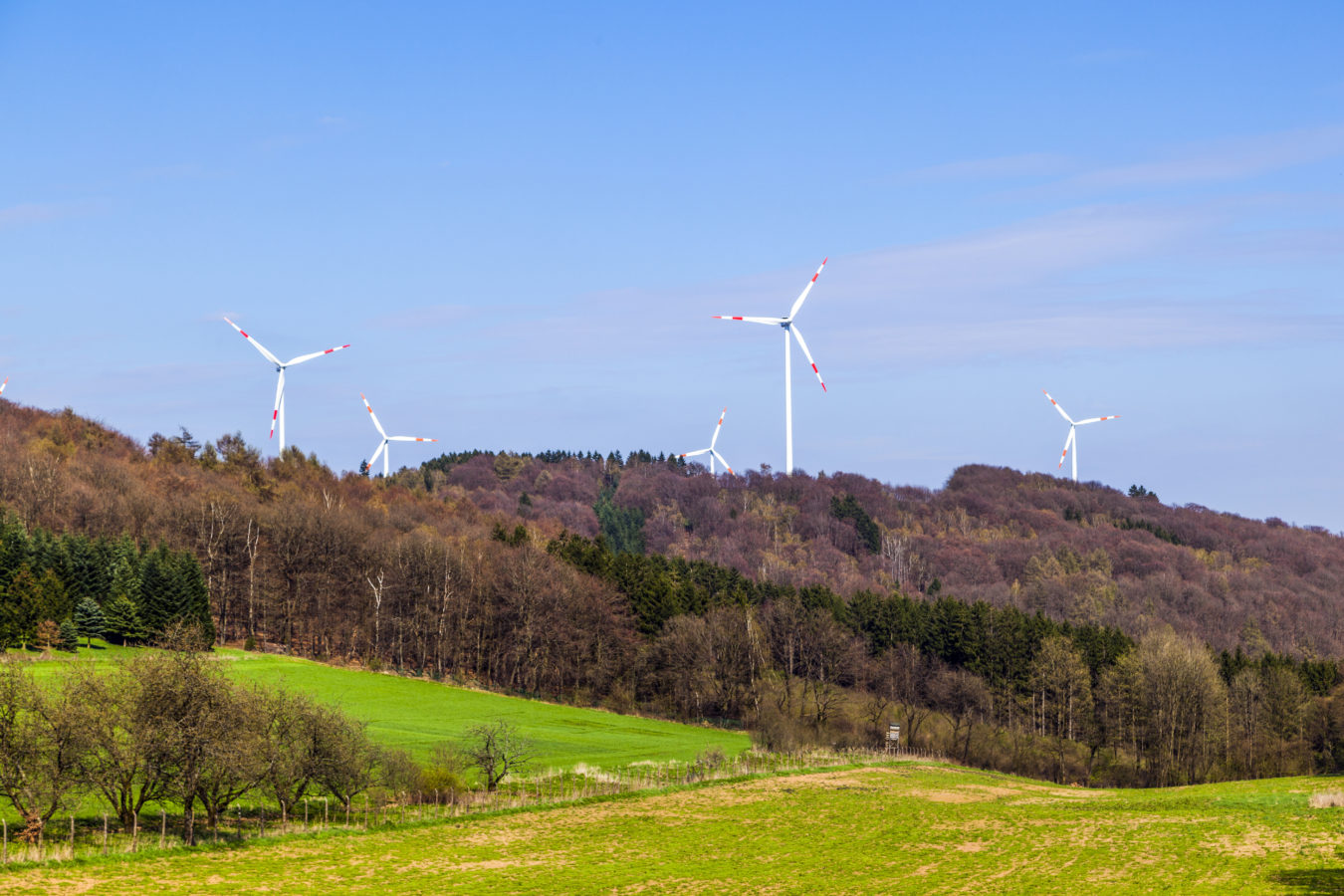 Construire des éoliennes en forêt est possible