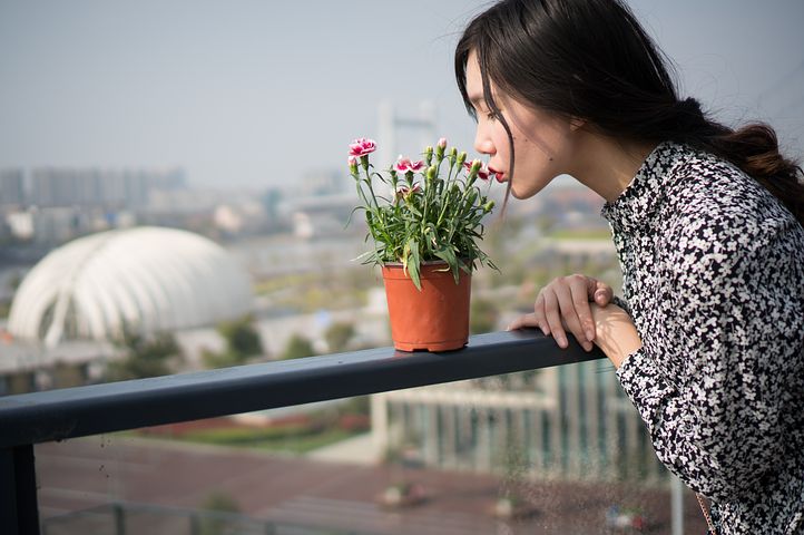 « L’introduction, ou le retour, de la nature en ville est une tendance qui s’implante rapidement dans les désirs et les modes de pensées ».