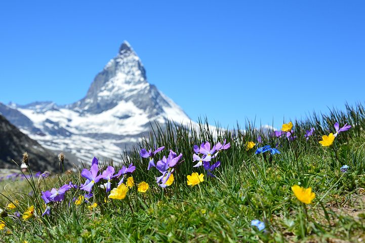 La liste des intervenants au Sommet de Zermatt est impressionnante