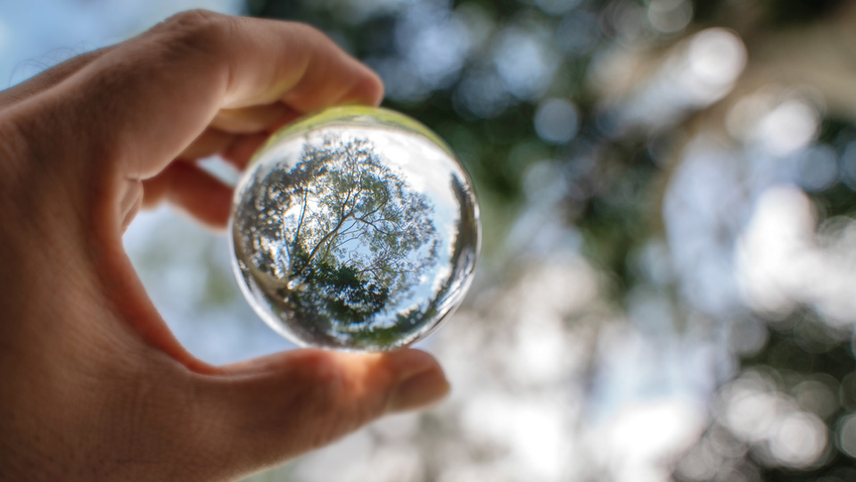 Echiquier Climate & Biodiversity Impact Europe, un fonds d’impact en réponse au défi climatique et à la protection de la biodiversité