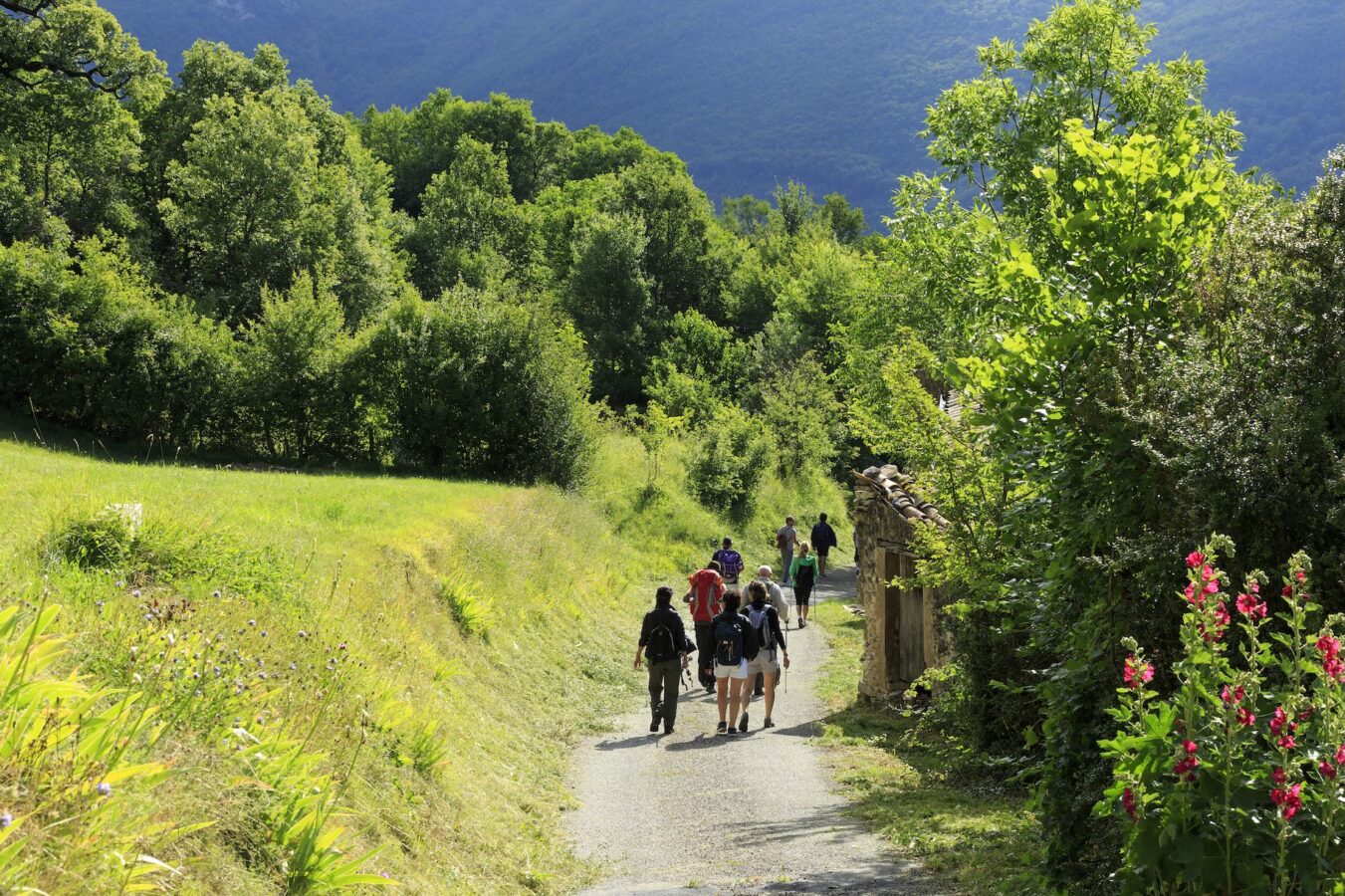 Jeûne détox et randonnées à La Pensée Sauvage, une adresse où renaître