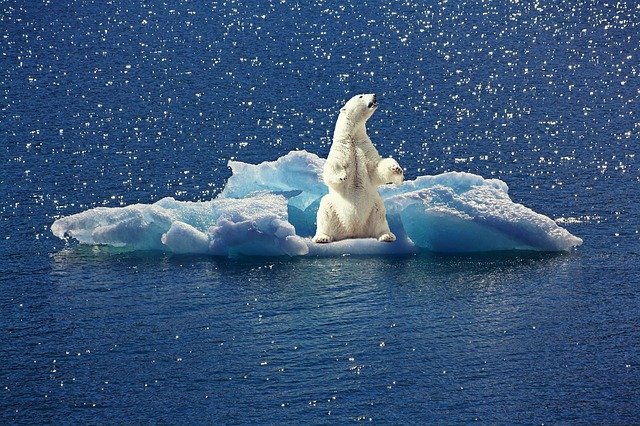 La Financière de l’Echiquier se dote d’une stratégie climat et renforce sa politique charbon